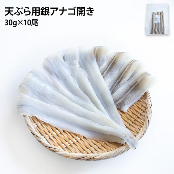 新鮮な銀穴子を開きにしました。真穴子に比べて蛋白で脂の少ない銀穴子は天ぷらに最適な食材です。是非一度お試しください。一尾あたり30ｇで10尾入っています。天丼や天ぷら蕎麦やうどんなどに如何ですか？長さはおおよそ23cm前後です。※こちらの商...