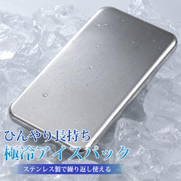 ステンレス製 保冷剤 アイスパック 繰り返し使える 長時間保冷 薄型 スリム 冷却パック ランチバッグ お弁当 クーラーバッグ キャンプ アウトドア fj9067