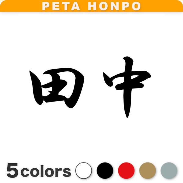 カッティングステッカー 田中 サイズ選択可 苗字 名字 姓 名前 : FUJI 