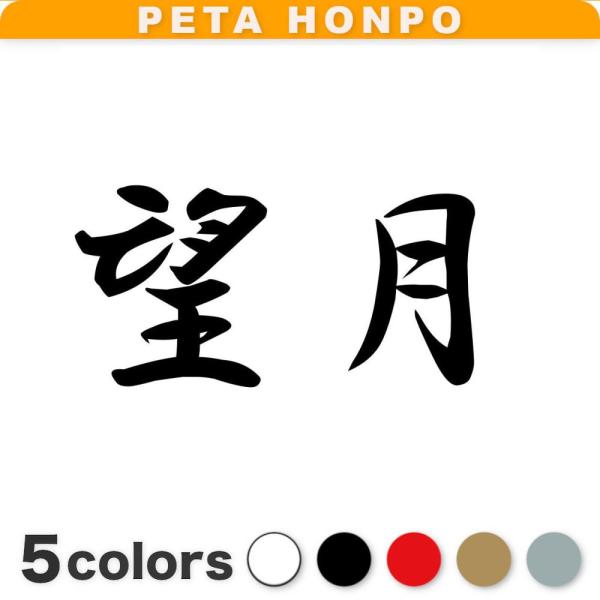 カッティングステッカー 望月 サイズ選択可 苗字 名字 姓 名前 : FUJI