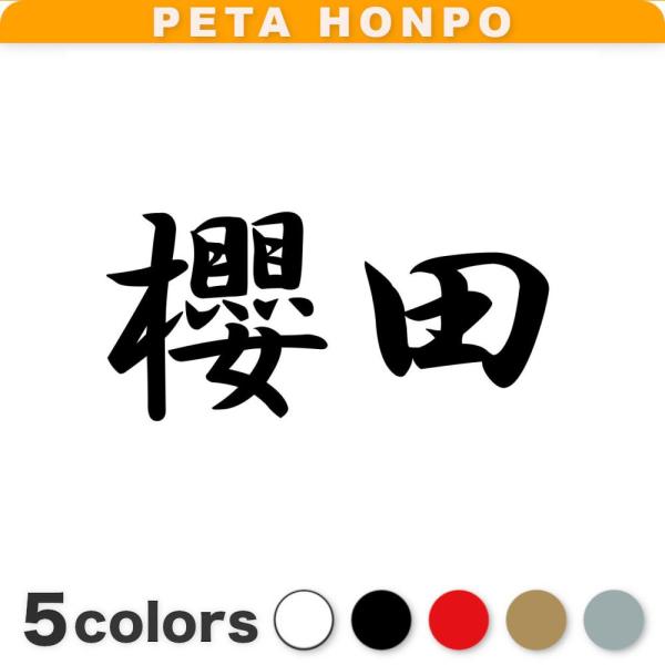 カッティングステッカー 櫻田 サイズ選択可 苗字 名字 姓 名前 : FUJI