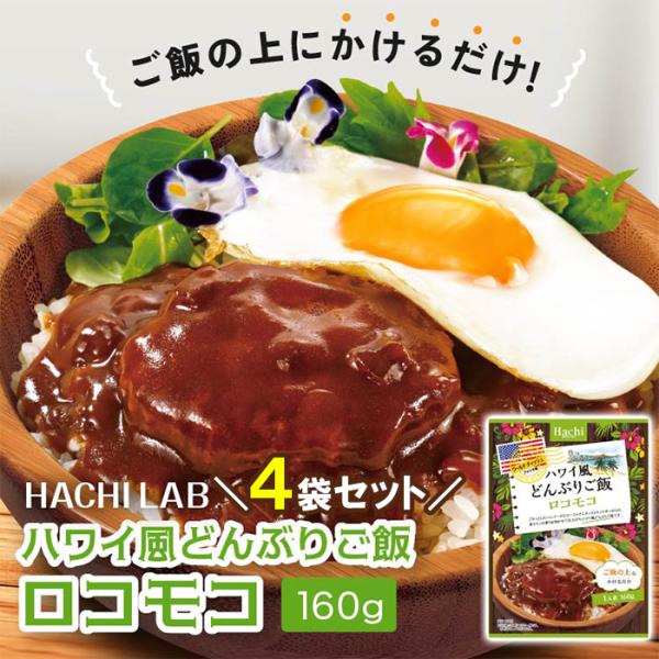 ハワイ風 どんぶりご飯 ロコモコ（160g）4袋セット【爆買 HACHI LAB ハチラボ ワールドディッシュ】