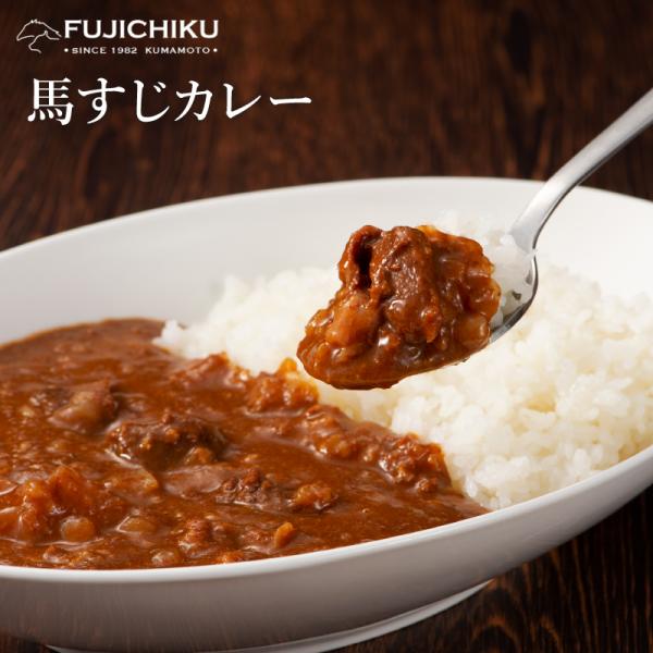 【常温】馬すじカレー 200g 馬 馬すじ カレー フジチク 加工品 お取り寄せ グルメ 熊本 産地直送 おうち時間 自家需要