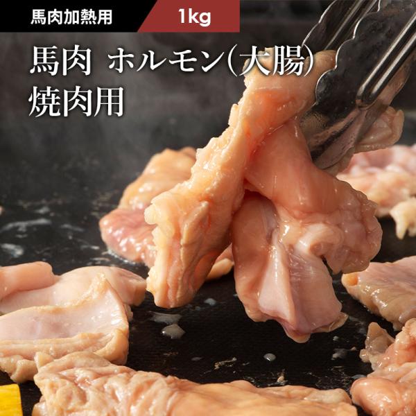 馬の大腸を焼肉用にカットしました。こりこりっとした食感が癖になります。馬刺し 国産 熊本 馬肉 ばさし バサシ 肉 お歳暮 御歳暮 ギフト お年賀 クリスマス プレゼント お祝い 還暦 生肉 精肉 馬 父の日 母の日 誕生日 冬 ギフト 刺...