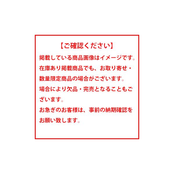 fujicorporation_p451853_4_d_20250117171723