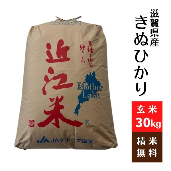 キヌヒカリ 滋賀県産キヌヒカリ 玄米30Kg 令和6年 1等 : 藤勝 キヌヒカリ 滋賀県産キヌヒカリ 玄米30Kg 令和6年 1等 : 藤勝