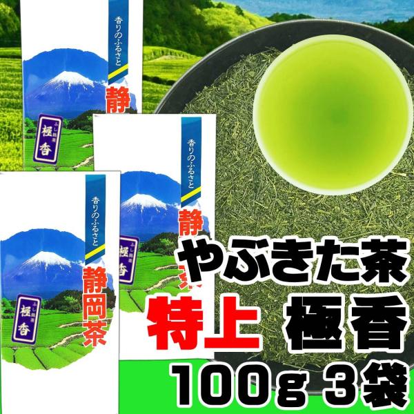 fujikubotaen_kyokkou09