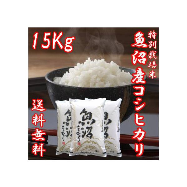 y\zV ߘa7NY YRVqJ 5kg×3 ܂   ɏ č AN 15kg   VRVqJ RVqJV 蕨 Mtg