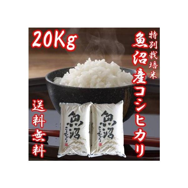 V ߘa7NY YRVqJ  10kg 2  20kg ܂ ɏ č `N   RVqJ p 蕨 Mtg V