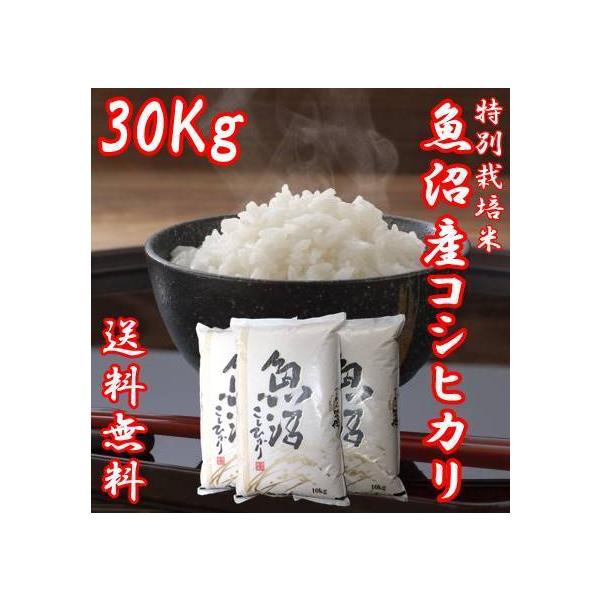 y\zV ߘa7NY YRVqJ  10kg 3  30kg ܂ ɏ č `N   RVqJ Ђ p 蕨 V