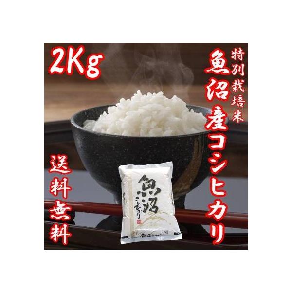 白米 コシヒカリ 魚沼産 2Kgの人気商品・通販・価格比較 - 価格.com 白米 コシヒカリ 魚沼産 2Kgの人気商品・通販・価格比較 - 価格.com