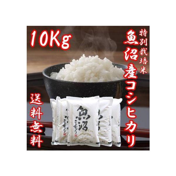 y\zߘa7NY V YRVqJ Qkg 5 ܂   ɏ č `N 10kg   RVqJ p Mtg 蕨 V