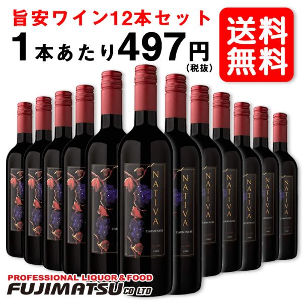 送料無料 ナティバ カルメネール 750ml×12 チリ 赤ワイン
