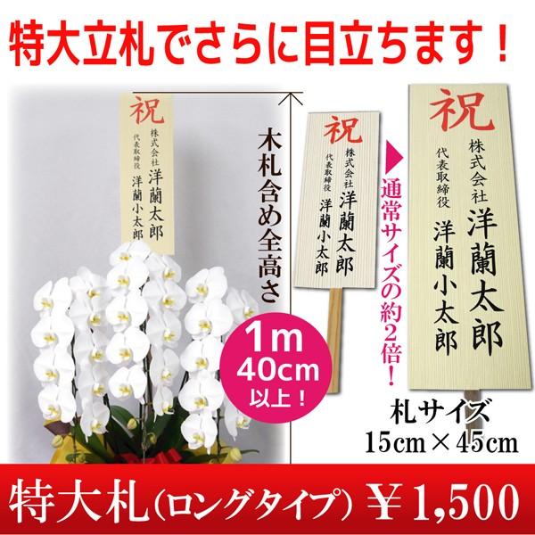 花 札 農業資材 ガーデニング用品の人気商品 通販 価格比較 価格 Com