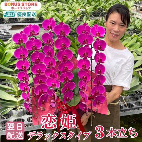 花の大きさ：10cm全高：80〜90cmこっくりとしたワイン色、丸みのあるフォルムにぐっと心をつかまれます！ デラックスタイプは本当に見事で注目を集めるとても印象的なお花です。※金額の分かる納品書、請求書、領収書等は同梱されません。