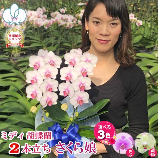 お誕生日やお返しのプレゼントなどにおすすめ当店で一番のお手頃価格の2本立ち！お花サイズ7〜8cmテーブルサイズはご自宅用にもおすすめ。※金額の分かる納品書、請求書、領収書等は同梱されません。