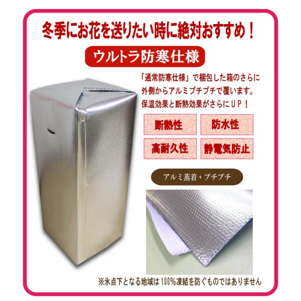 胡蝶蘭の宅配時、通常箱内の防寒アルミに加えさらに段ボールの外側に巻く最強の断熱材です。高価で大切な贈り物ですのでお花や株を寒さから守ってくれます！冬季は降雪地域のみならず全国的に使っていただけると安心です。※配送状況や気温により絶対に凍結し...
