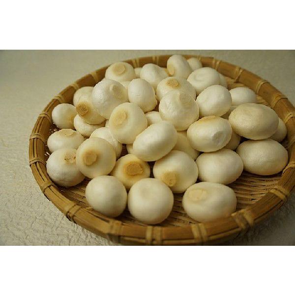 生地をひとつひとつ手で丸めて丁寧に焼き上げた堅焼きのお麸です。  「おもちのように」ふっくらもっちりとした食感に仕上がるのが名前の由来です。  切れ目のない縁起良い姿は「小安平麸」とも呼ばれます。  【やき麩について】 やき麸は、小麦グルテ...