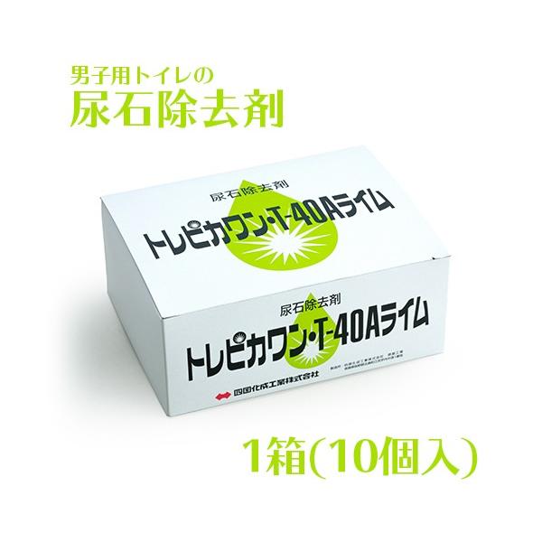 AΏ gsJT-40C 1(40g×10) Ɩp