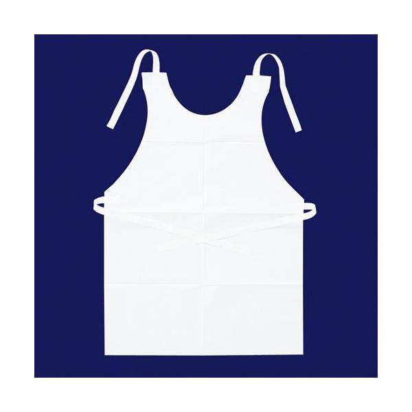 ĝăGv Gv   P[X100×10pbN Ɩp 