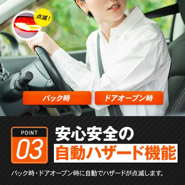 fujinokuni_fuj-0008_4_d_20250922094258