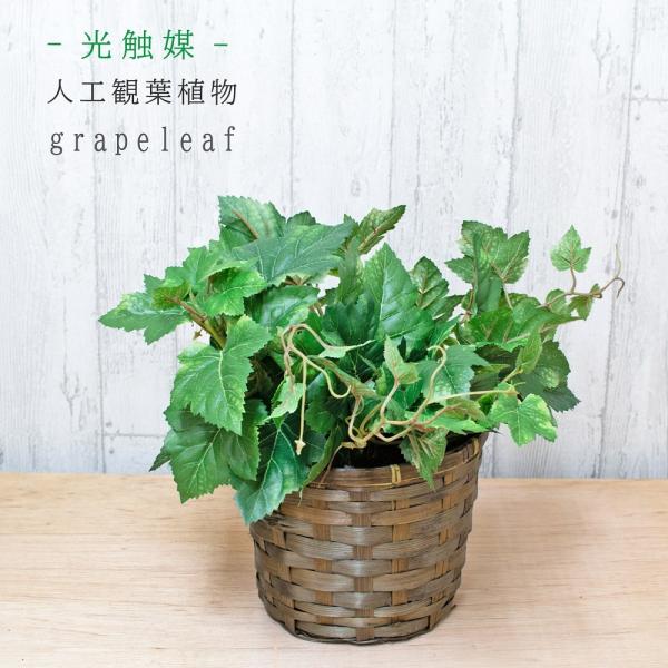 光触媒 人工観葉植物 グレープリーフ フェイクグリーン 造花 おしゃれ 観葉植物 会社 事務所 自宅 室内 カゴ付きでそのまま飾れる FPP-804