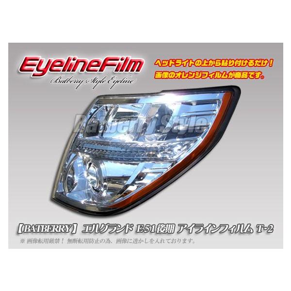 BATBERRYACCtB GOh E51  ACCtB T-2