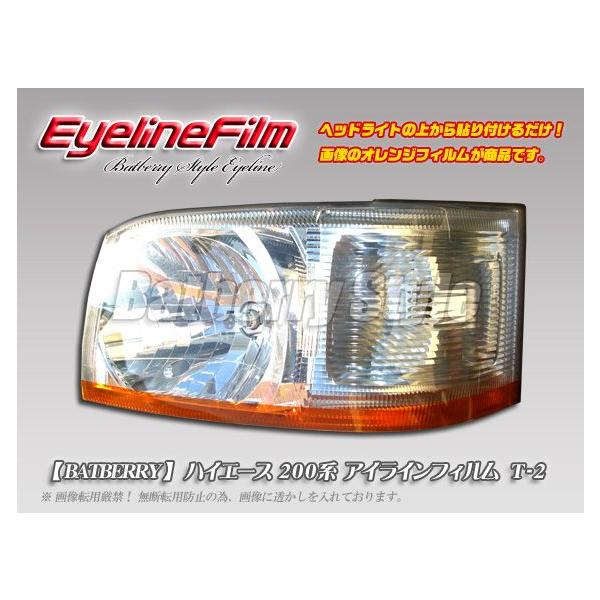 BATBERRYACCtB nCG[X 200n 1^2^ ACCtB T-2