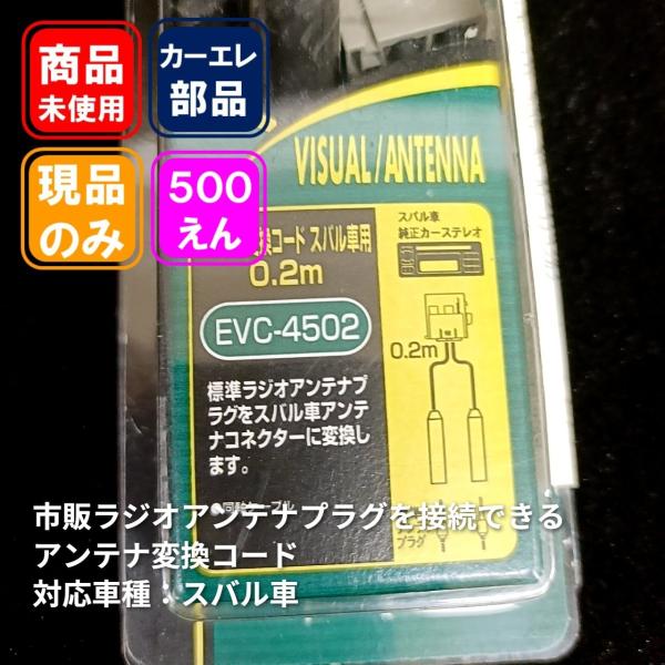 fujisawatyougo_0313000075000091