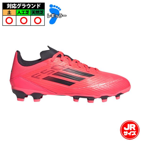 fujispo_if1371