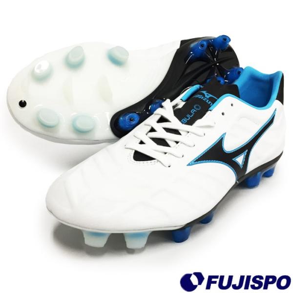 fujispo_p1ga178109 fujispo_p1ga178109