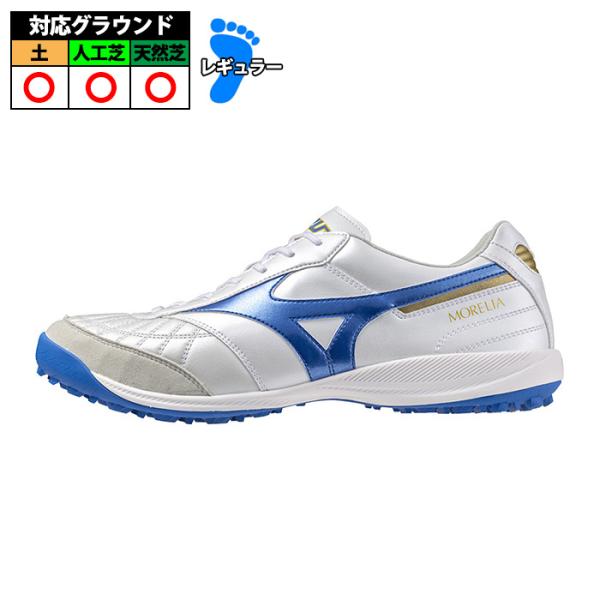 fujispo_q1gb241125 fujispo_q1gb241125