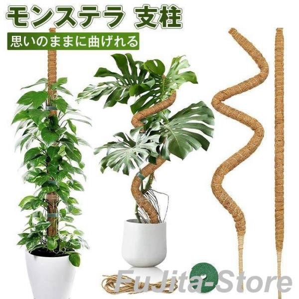 モンテスラ様　専用 ココスティック モンステラ支柱 観葉植物 支柱 園芸支柱 植物