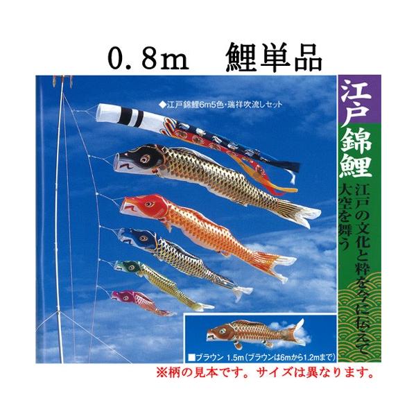 希望者のみラッピング無料 こいのぼり 単品 鯉のぼり 江戸錦鯉 0.8m