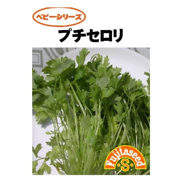 【栽培方法】　プランターや畑に筋まきまたはバラまきします。草丈５ｃｍの頃よりはさみなどで刈り取り、順次利用します。水耕栽培も可能です。容器の底に厚さ約１〜２ｃｍのスポンジを敷き、種をまきます。霧吹きなどで適宜水を与え、種が乾かないようにしま...