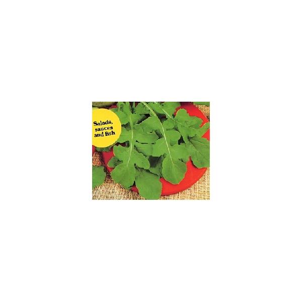 【栽培方法】育て易い健康サラダ野菜です。春まきで15〜30日で少し早採りして食べると美味しいです。水分が不足すると、葉が堅くなります。【利用方法】地中海沿岸地域原産の一年草でルッコラとも言われています。葉にはゴマのような風味でピリッとした辛...