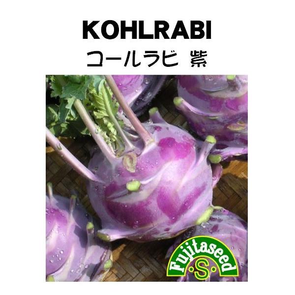 【栽培方法】1.栽培はほとんど周年できますが、８月播きが最良です。2.直播きの場合、３０ｃｍ株間に数粒づつ点播きし、次第に間引いてください。   移植栽培の場合は本葉４〜５枚の頃、３０ｃｍ間隔で定植します。3.収穫は直径が５ｃｍ位に行います...
