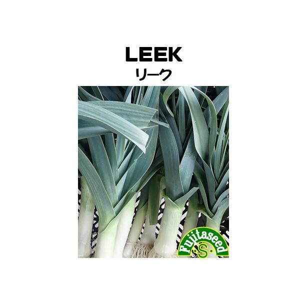 【栽培方法】早春や秋に苗床に筋播きし、草丈約15cmになった頃１０cm間隔に植えつけます。畦巾は６０cmくらいにします。食用の白い部分を多く（長く）また、味をマイルドにするために軸の部分に土寄せを十分にして育てます。春播きは晩夏から晩秋にか...