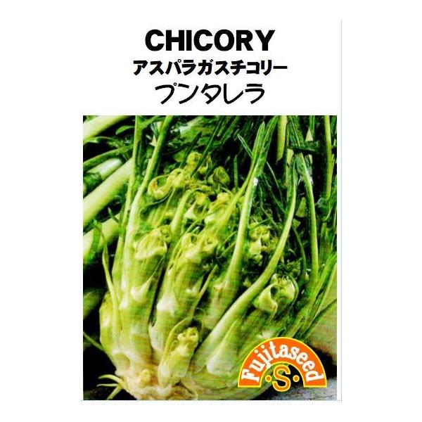 【利用方法】ヨーロッパではプンタレラとも呼ばれるチコリーの一種です。　ビタミン・ミネラルが豊富でイタリアでは大人気の健康野菜です。肥大してきた花茎を食べ、シャキシャキとした食感でほろ苦さがあります。【まき時期（一般地域）】７月下旬〜９月上旬...