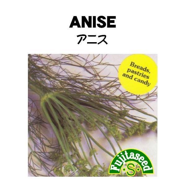 【栽培方法】日当たりと風通しがよい、涼しい場所を好みます。発芽適温は２０〜２５℃。移植を嫌うため直播きして栽培します。生育温度１５〜２０℃。【利用方法】セリ科の 一年草。草丈は約３０〜５０cm、開花は６〜８月頃。　若葉はサラダ、収穫した種子...