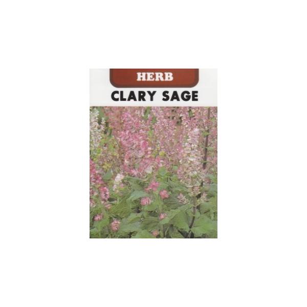 【利用方法】シソ科の二年草。オニサルビアとも呼ばれています。香りが強くポプリに使います。大型で見映えがするので花壇におすすめです。【まき時期（一般地域）】　4月〜6月・9月〜10月【発芽難易度】中級者向　　【容量】　0.5ml【種子有効期限...