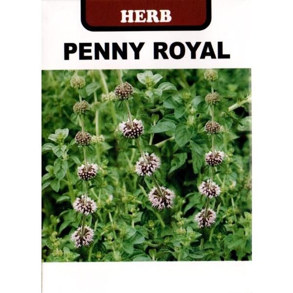 【栽培方法】種が細かいので、発芽するまでは乾かさない程度に霧吹きで水かけを行います。本葉５〜６枚頃定植します。　　　　【利用方法】シソ科の多年草で草丈５〜１０cm、開花は７〜９月頃、淡紫色の花をつけます。枝を地表に伸ばし（ランナー）広がるの...