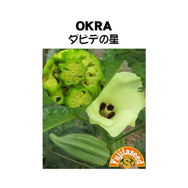 【栽培方法】地温が低いと発芽不良を起こしやすいので十分暖かくなってから種をまきます。移植を嫌いますのでポットで育苗する場合は根をくずさないように植えつけます。【利用方法】美しい切り口の形から、「ダビデの星」と名前がつきました。実は長さ５〜７...