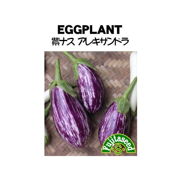 【利用方法】長さ約１０〜１５ｃｍで表皮の紫色と白色の縞模様が大変美しい、南フランス原産のナスです。クリーミーでオイルとの相性は抜群です。パスタ・ステーキ・揚げ物・肉詰め・グラタンなどがお薦めです。【まき時期（一般地域）】２月〜３月【発芽に適...