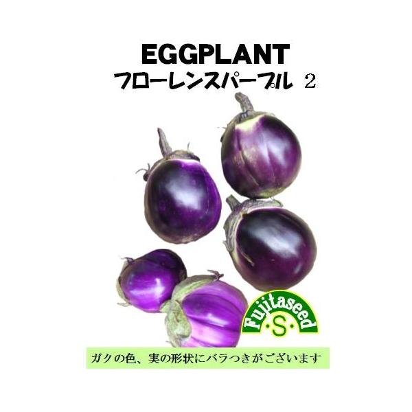 【栽培方法】一般的なナスと同じように栽培します。【利用方法】表皮の紫色が大変美しい、イタリアで人気の丸ナスです。肉厚でアクが少なく、加熱すると口の中でとろける味は抜群の美味しさです。オイルとの相性が良く、パスタ・ステーキ・揚げ物・肉詰め・グ...