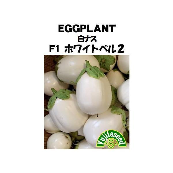 野菜 タネ 種 白ナスf1 ホワイトベル２ 藤田種子 Buyee Buyee Jasa Perwakilan Pembelian Barang Online Di Jepang