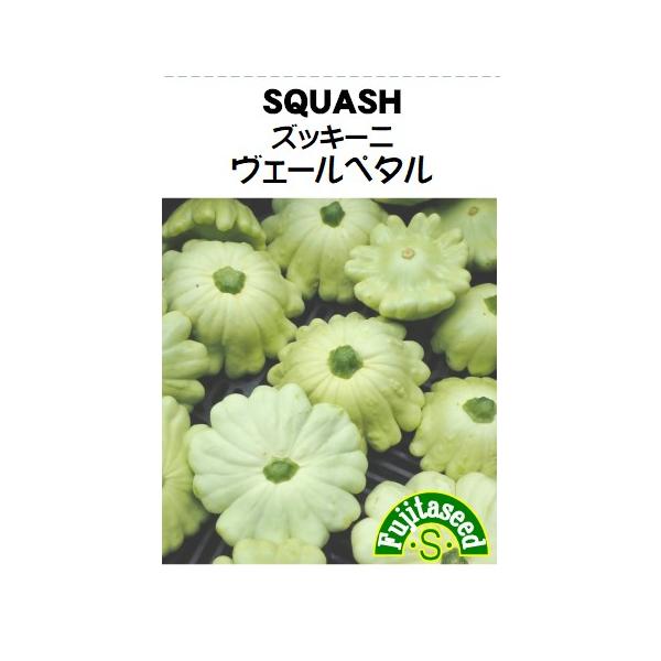 【利用方法】実は大きくしないで直径約７〜８ｃｍで収穫すると皮も柔らかく味わえます。炒め物や天ぷら、スープなど様々な料理に利用します。【まき時期（一般地域）】４月〜５月【容量】約８粒【種子有効期限につきまして】この種子は毎年12月に有効期限の...