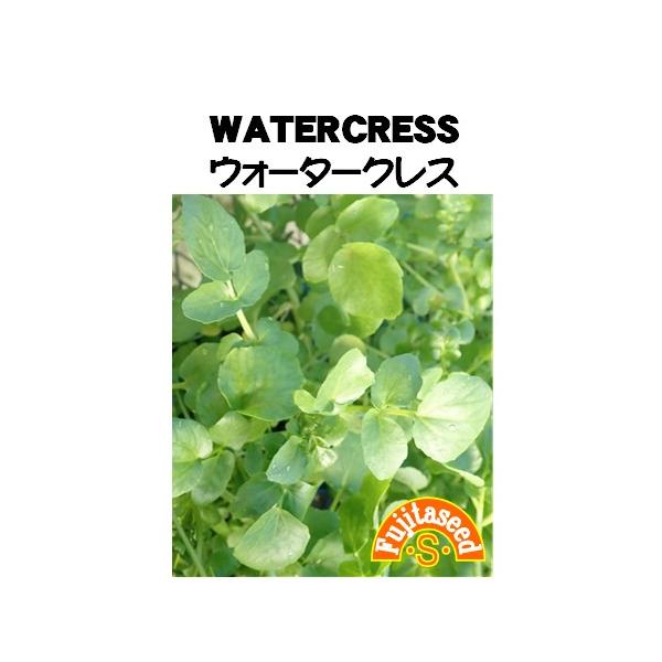 【栽培方法】育て易い健康サラダ野菜です。春まきで３０〜５０日で少し早採りして食べると 美味しいです。水分が不足すると、葉が堅くなります。【利用方法】生食したり、こま切りしてスープやソースの浮かしにします。セリに似た苦味まじりの風味の中に、カ...