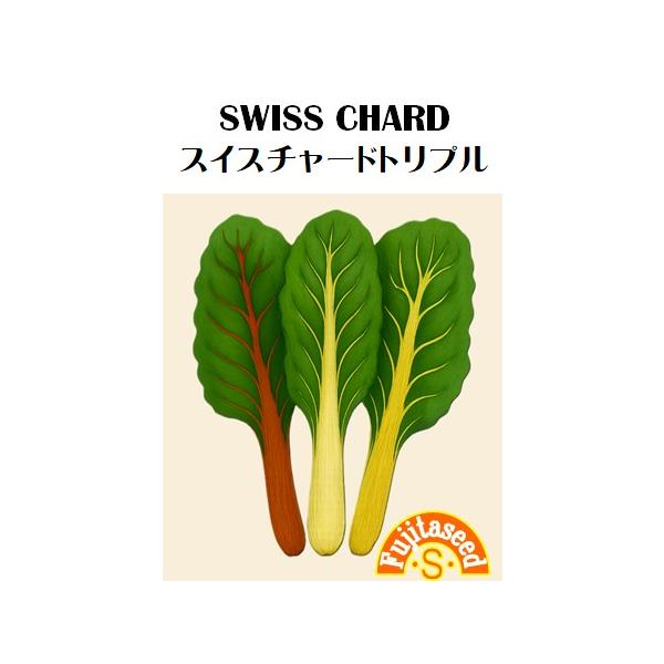 【栽培方法】1.病虫害に強く、生育早く、栽培も容易で、プランターでもできます。    １〜２cmの深さで３０〜４０cm条間に種まきし、７〜８cmの大    きさに育った頃、２０〜３０cm株間に間引きもしくは移植し    て育てます。2.大き...