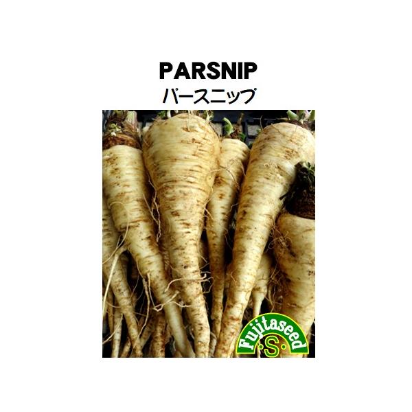 【栽培方法】１.ニンジンと同じように砂質土壌が最も適し、深耕後よく乾いた畑に直播きします。生育が遅いので地温の許すかぎり、なるべく早播きするようにして下さい。水をやりすぎると発芽で失敗したり、土がしまりすぎて良品がとれなくなります。２.順次...